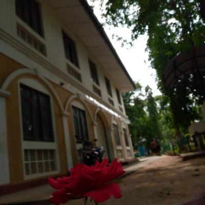 20055877 0abe 4a9e 88c2 9080aac4e6d7