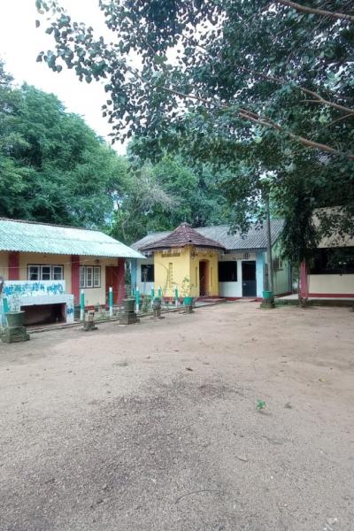 Ceb5b561 4a9c 493a Aa3a Cc65fab8a63c